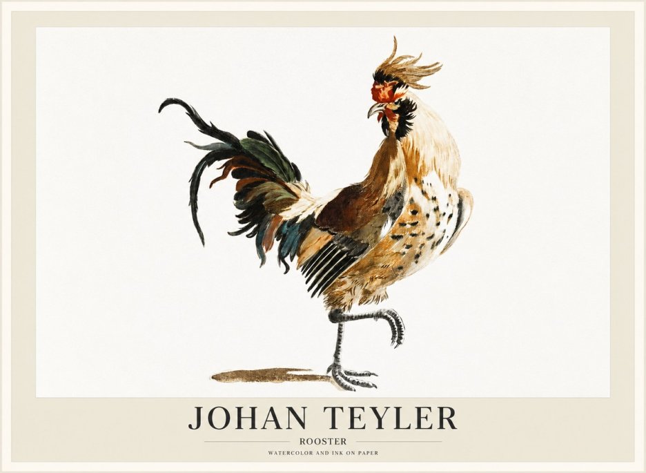 Johan Teyler Rooster No1 - Affiche