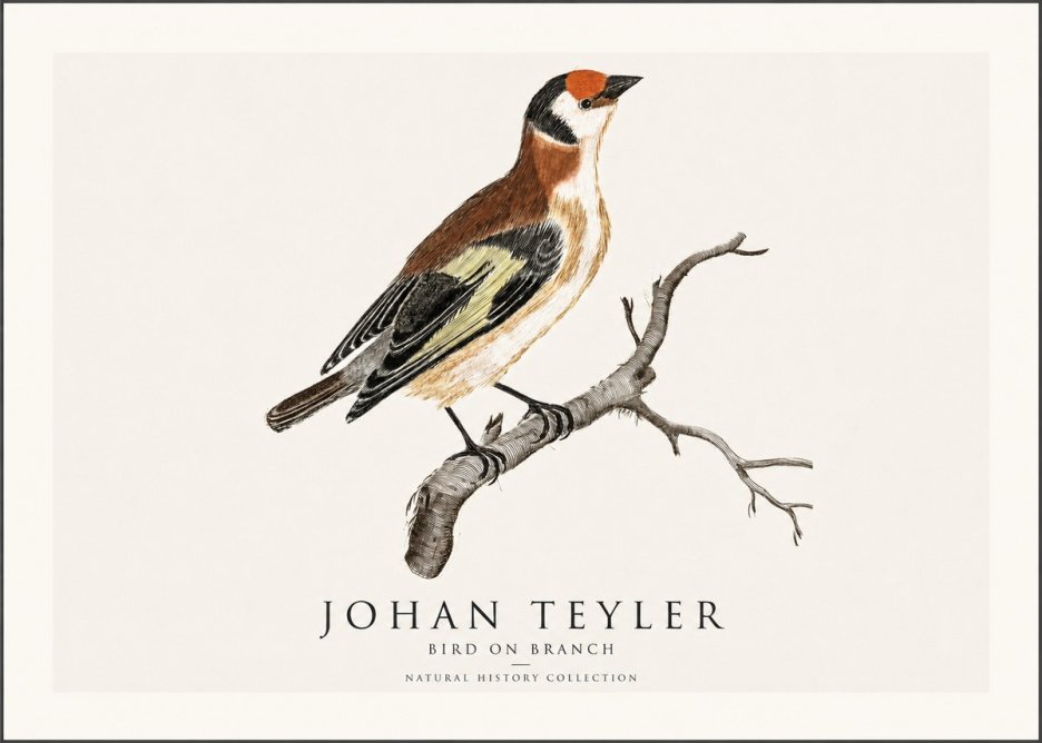 Johan Teyler Song of the Finch No2 - Affiche