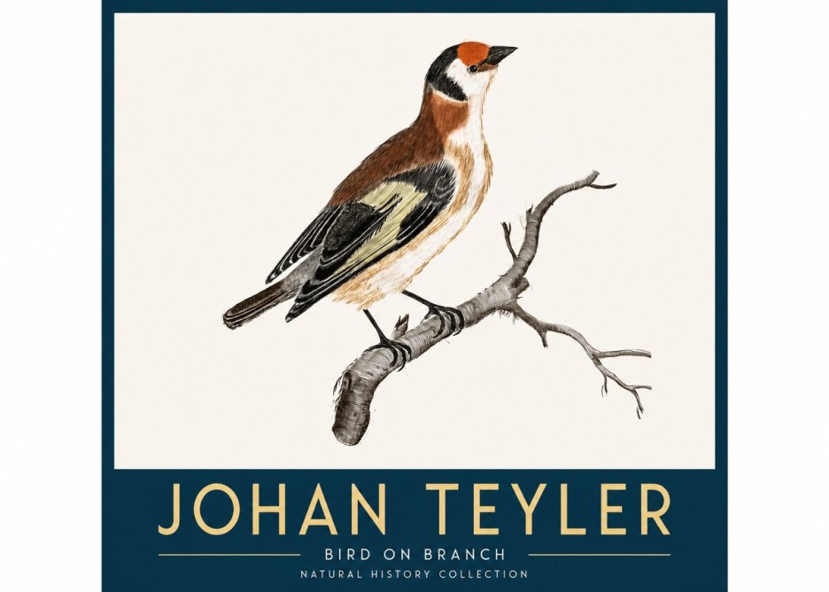 Johan Teyler Song of the Finch No4 - Affiche
