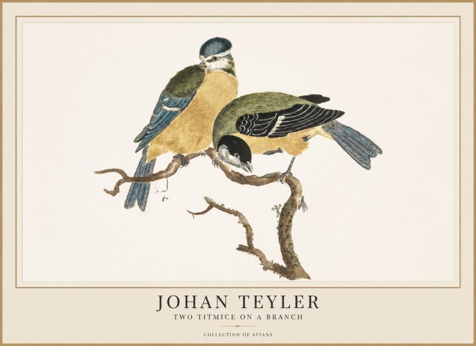 Johan Teyler Two Titmice on a Branch No1 - Affiche
