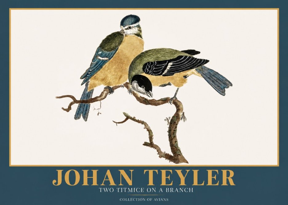 Johan Teyler Two Titmice on a Branch No2 - Affiche