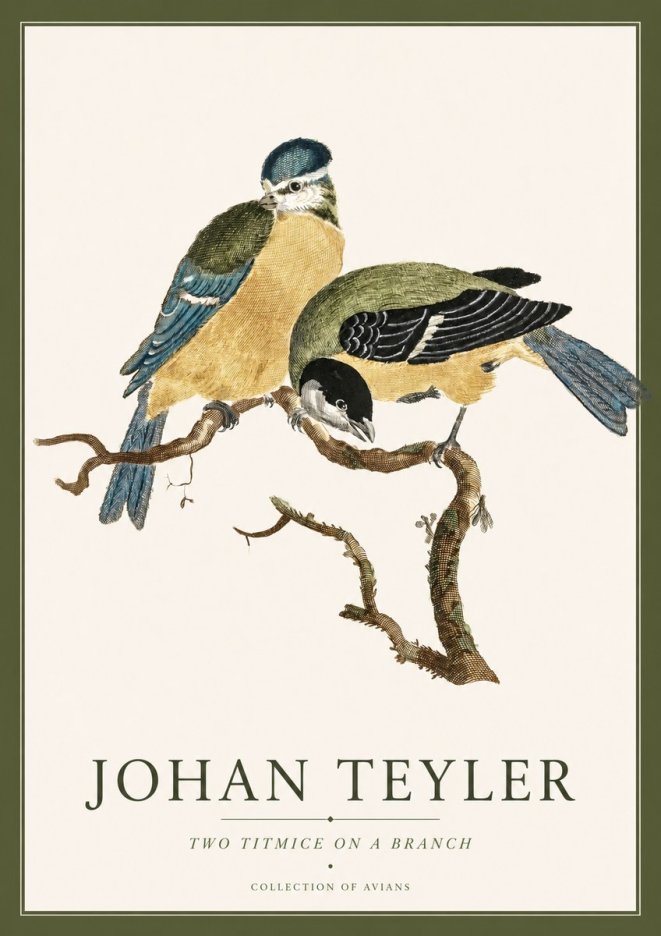 Johan Teyler Two Titmice on a Branch No4 - Affiche