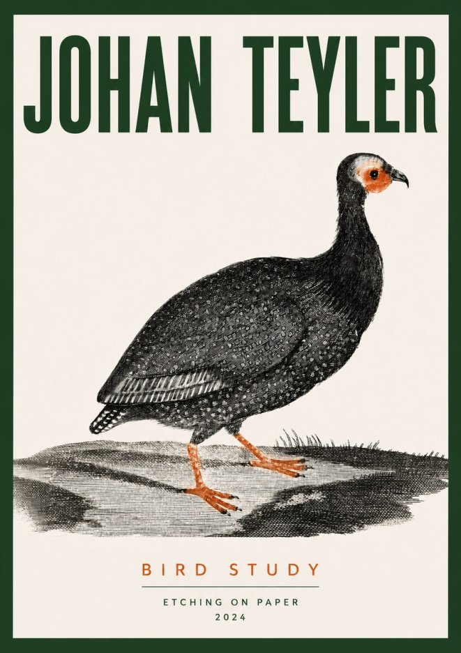 Johan Teyler Bird Study III No3 - Affiche