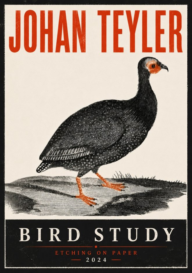 Johan Teyler Bird Study III No6 - Affiche