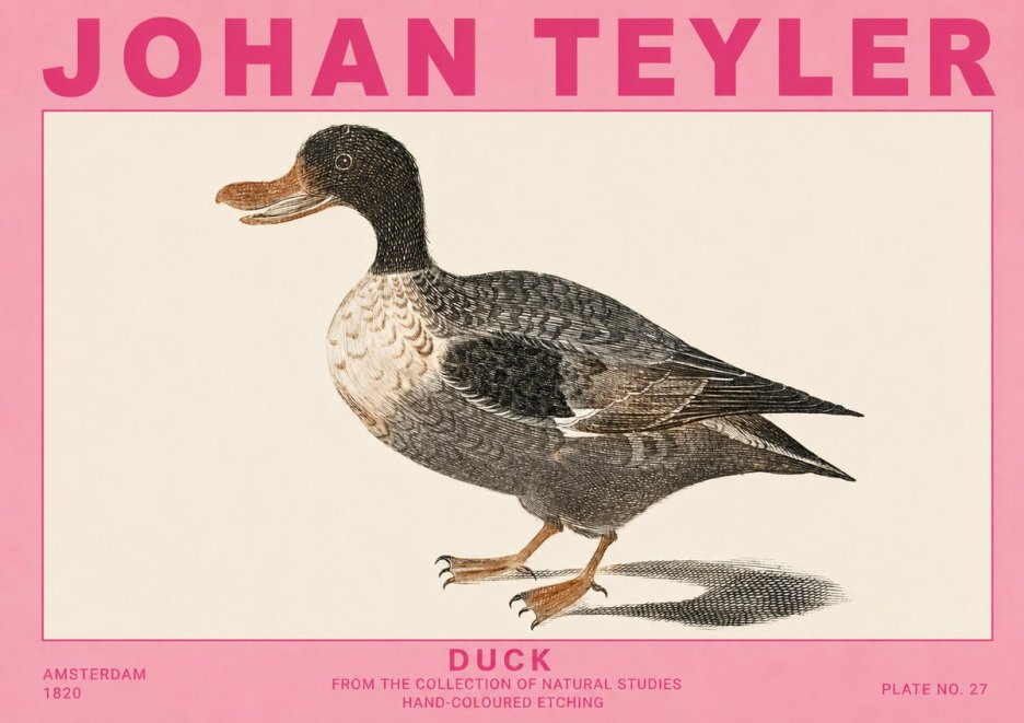 Johan Teyler Duck I No5 - Affiche