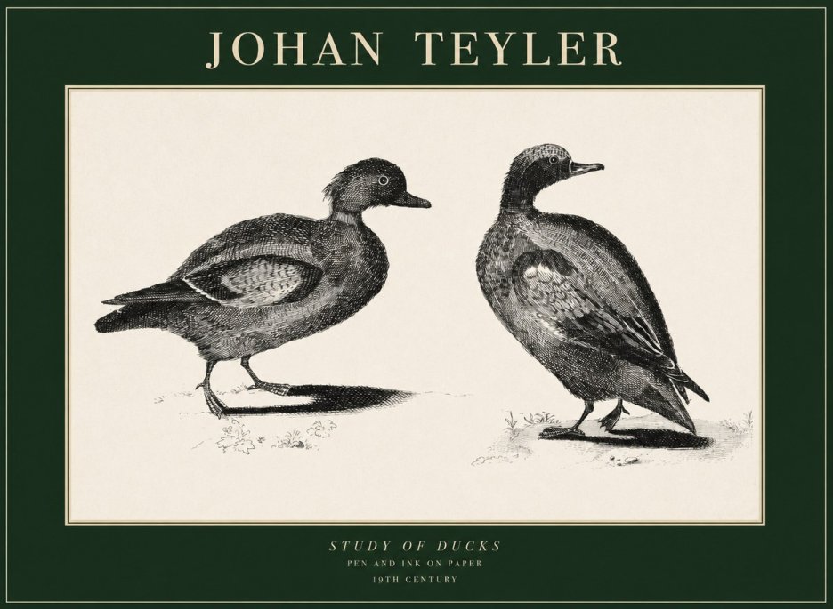 Johan Teyler Study of Ducks No1 - Affiche