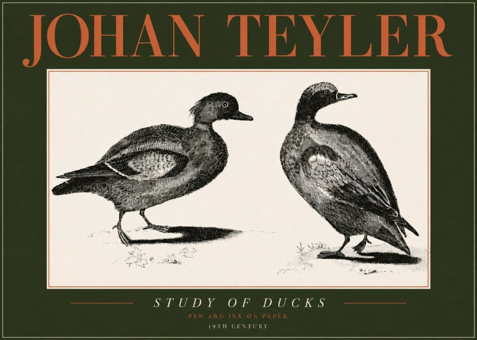 Johan Teyler Study of Ducks No4 - Affiche