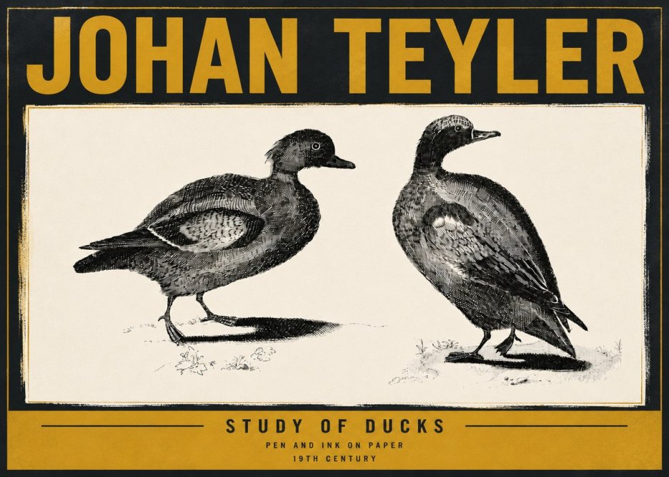 Johan Teyler Study of Ducks No6 - Affiche