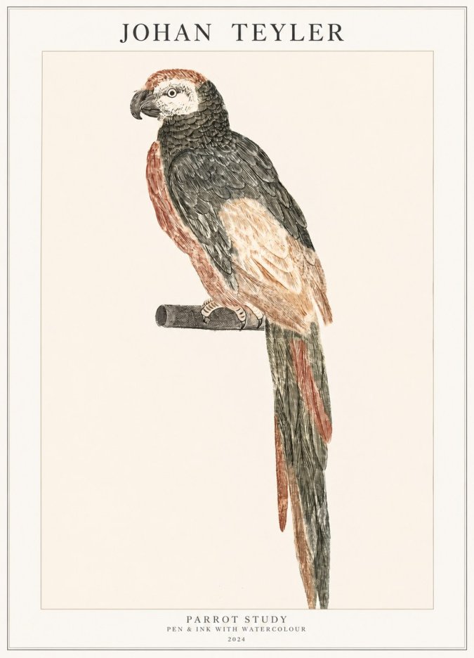 Johan Teyler Parrot Study II No1 - Affiche