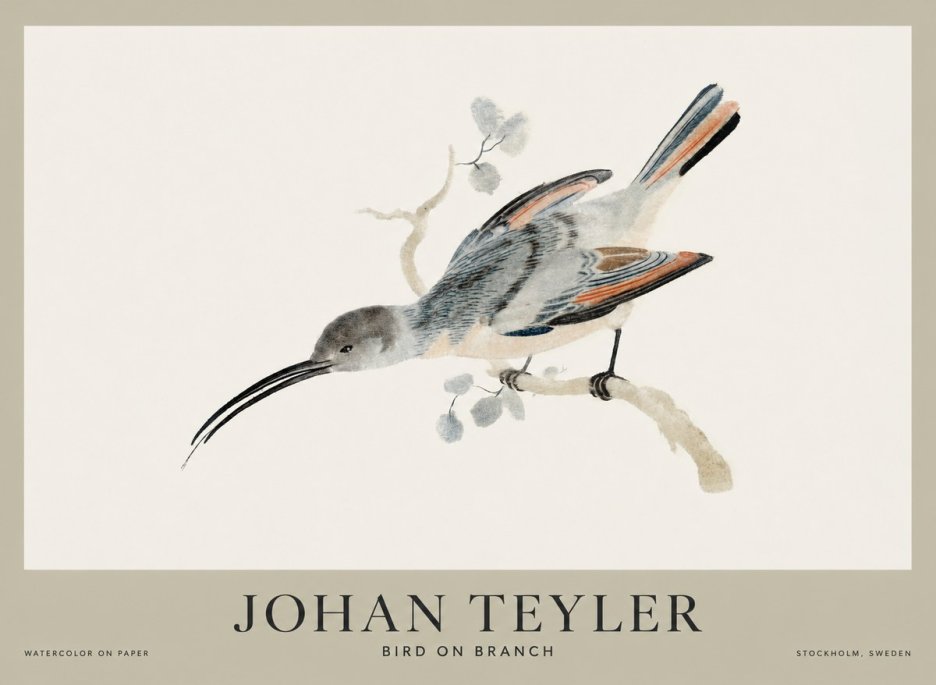 Johan Teyler Bird on Branch I No1 - Affiche