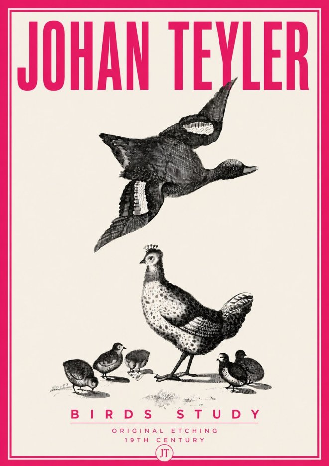 Johan Teyler Birds Study No6 - Affiche