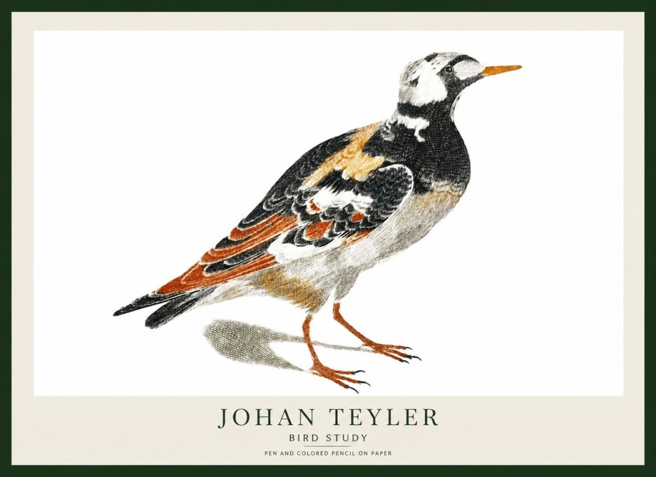 Johan Teyler Bird Study IV No1 - Affiche