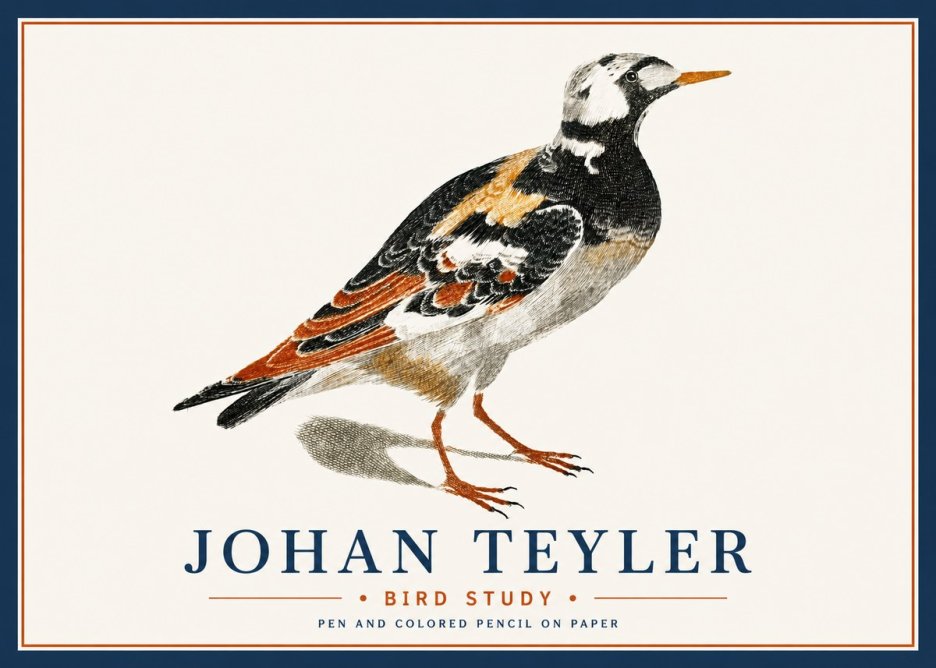 Johan Teyler Bird Study IV No6 - Affiche
