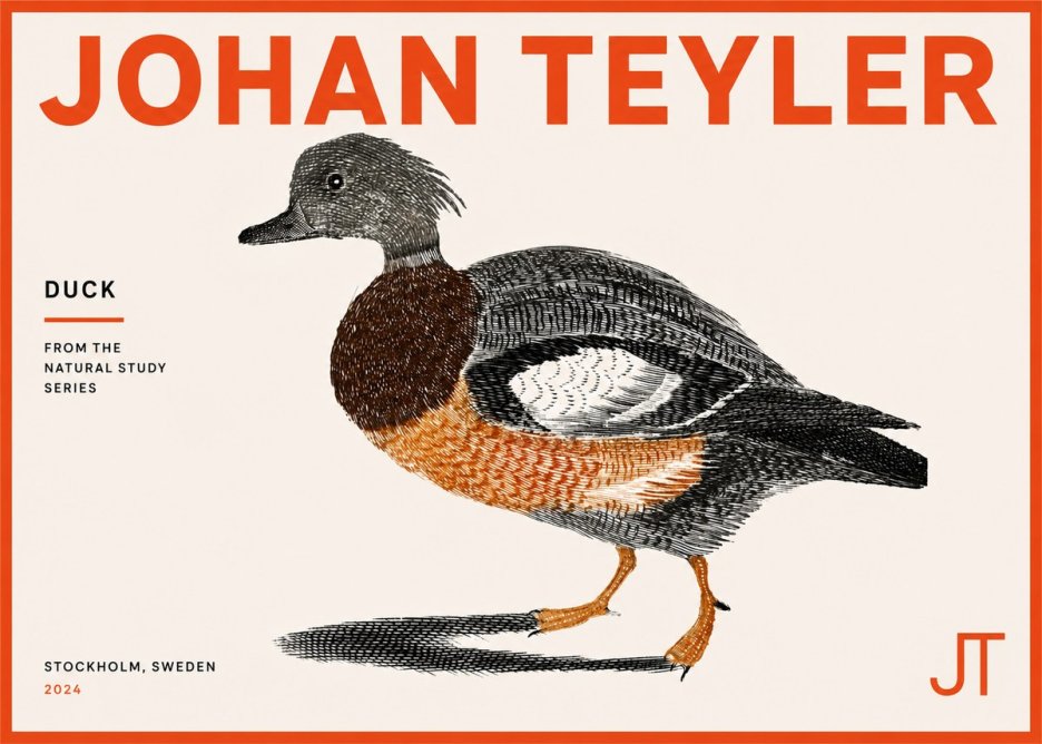 Johan Teyler Duck II No5 - Affiche