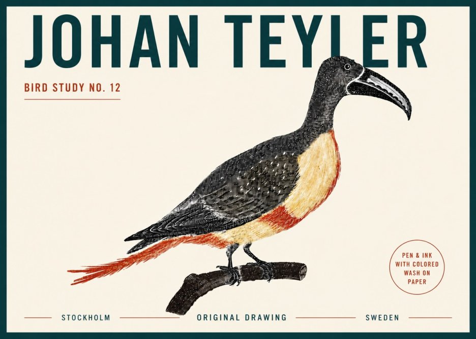 Johan Teyler Bird Study No. 12 - Original Drawing No5 - Affiche