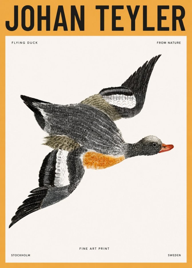 Johan Teyler Flying Duck No3 - Affiche