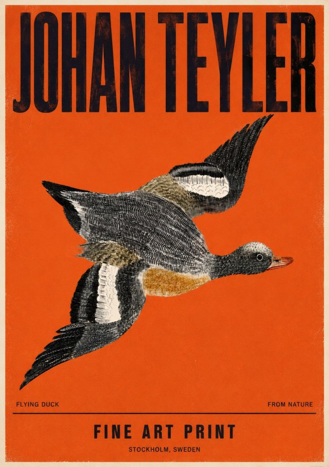 Johan Teyler Flying Duck No4 - Affiche