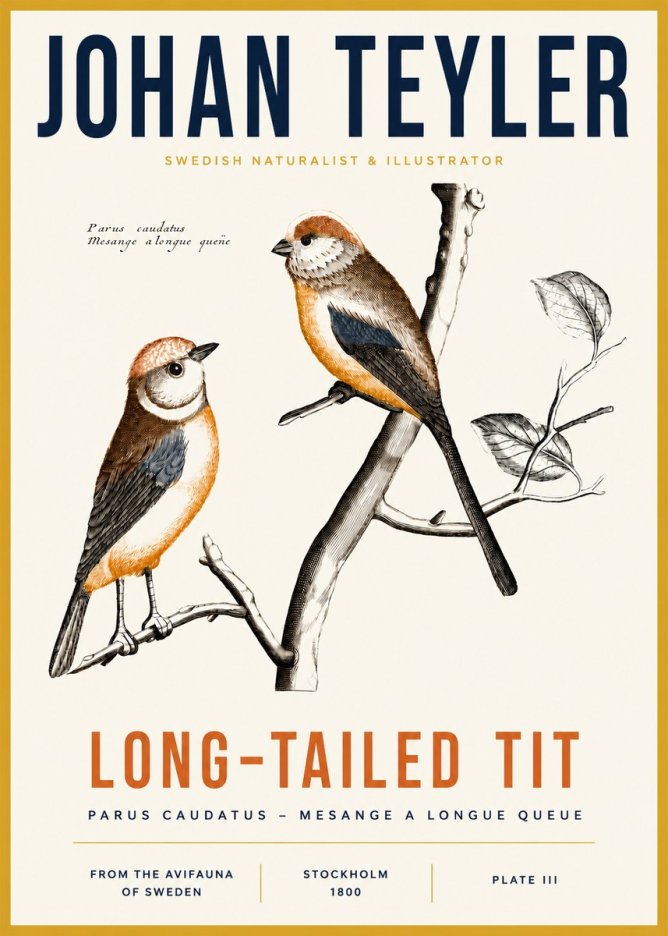 Johan Teyler Long-tailed Tit No3 - Affiche