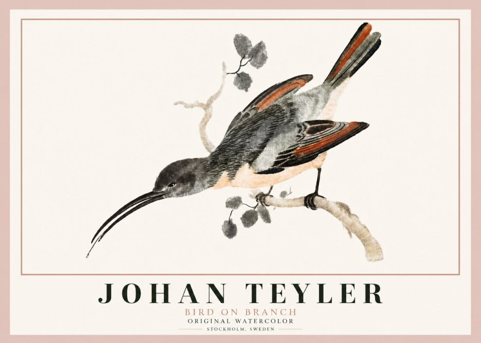 Johan Teyler Bird on Branch II No3 - Affiche