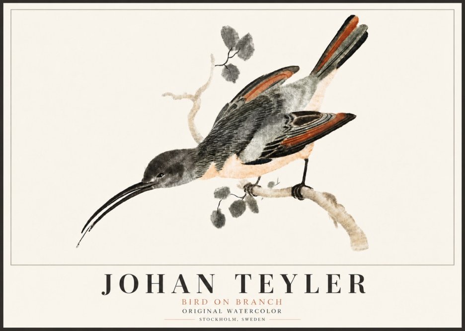Johan Teyler Bird on Branch II No5 - Affiche