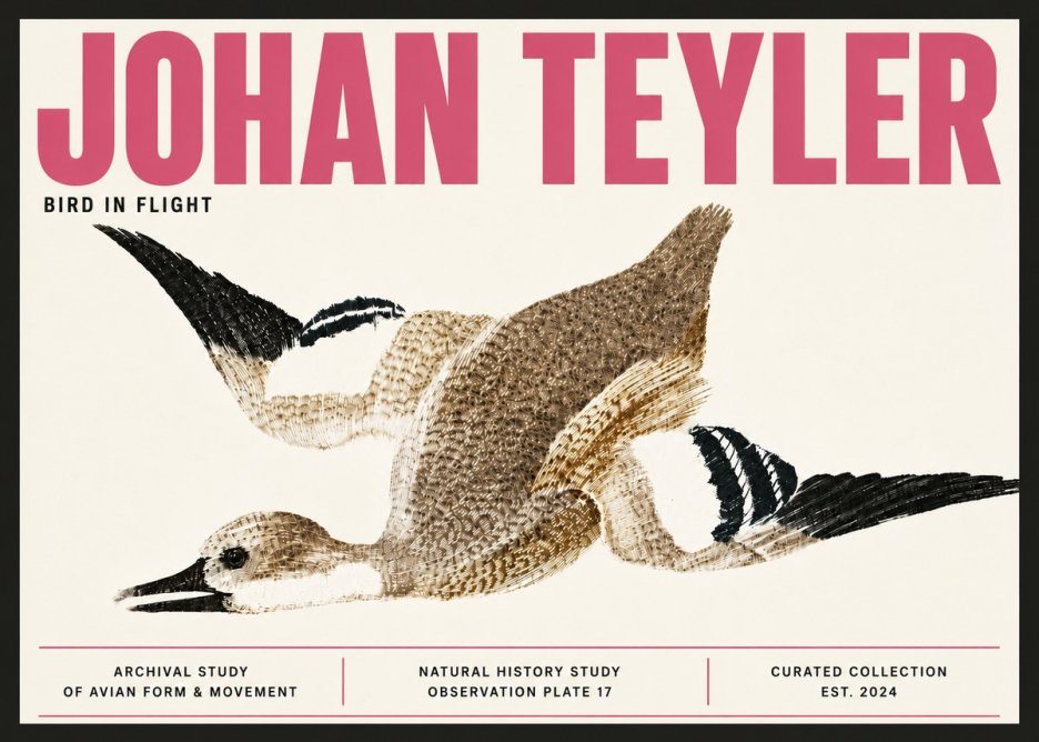 Johan Teyler Bird in Flight II No6 - Affiche