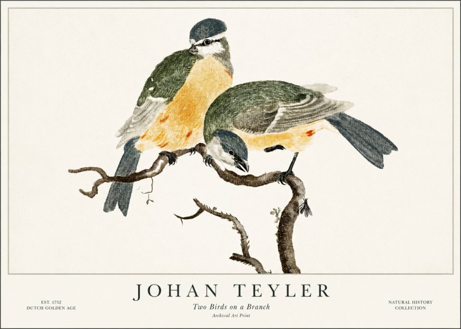 Johan Teyler Two Birds on a Branch No1 - Affiche