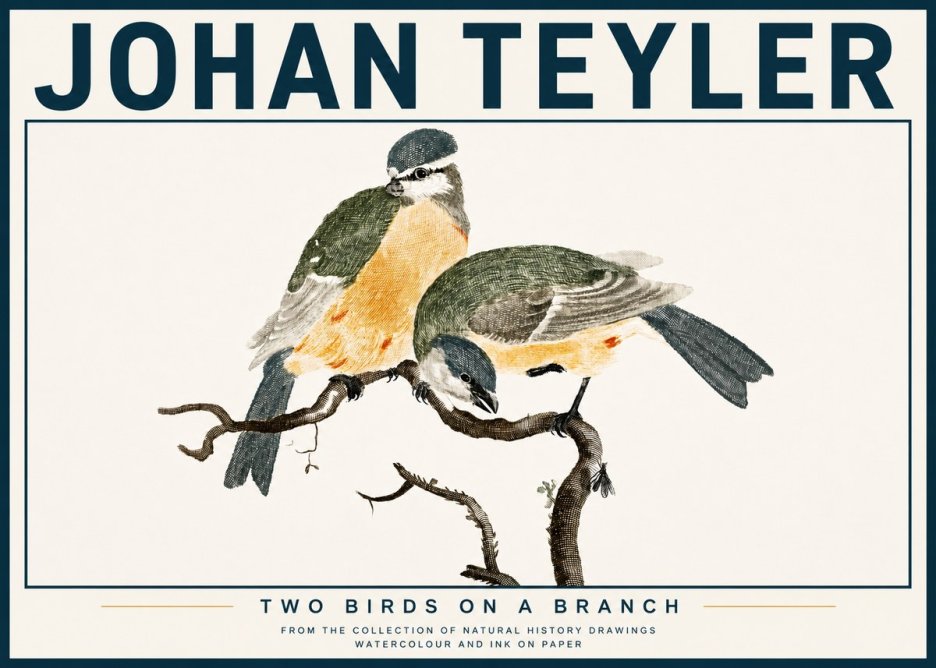 Johan Teyler Two Birds on a Branch No4 - Affiche