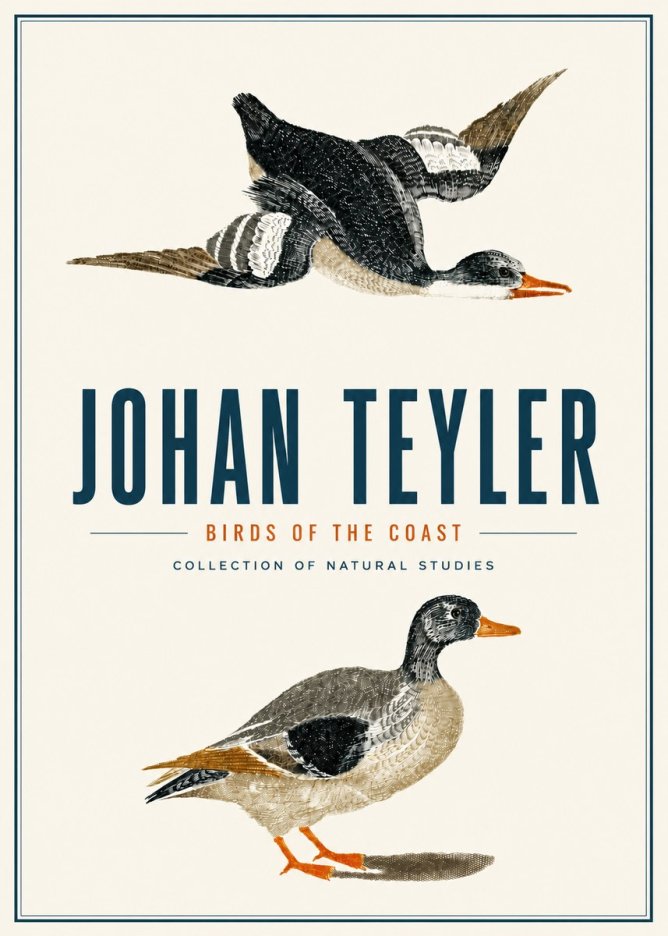 Johan Teyler Birds of the Coast No4 - Affiche