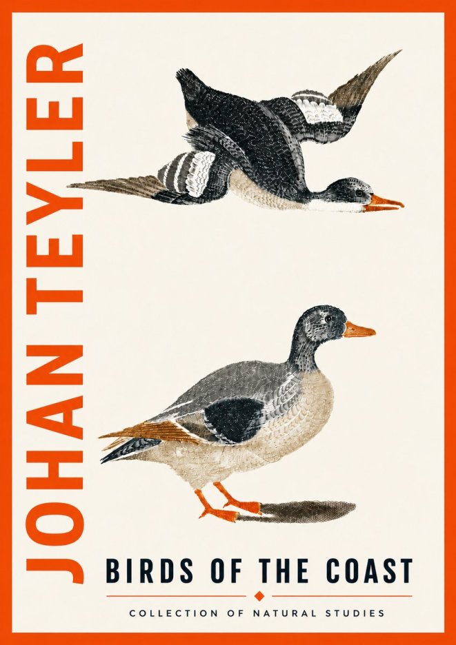 Johan Teyler Birds of the Coast No5 - Affiche