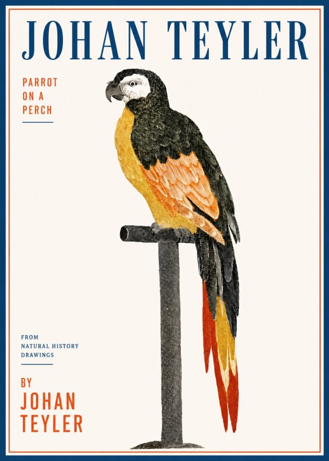 Johan Teyler Parrot on a Perch No3 - Affiche