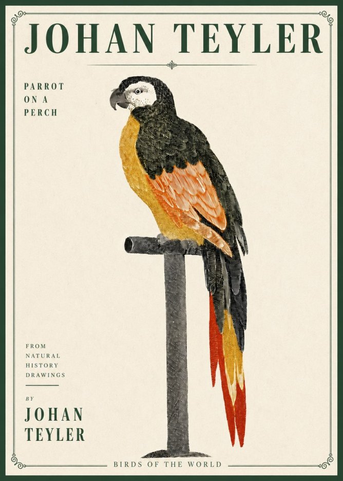 Johan Teyler Parrot on a Perch No4 - Affiche