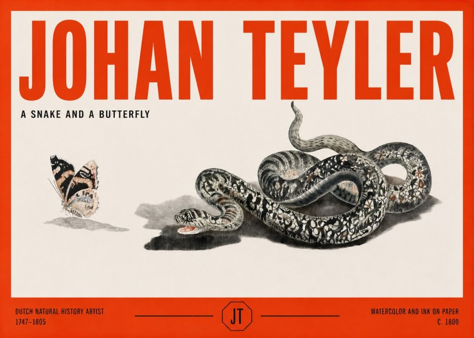Johan Teyler Snake and Butterfly No3 - Affiche
