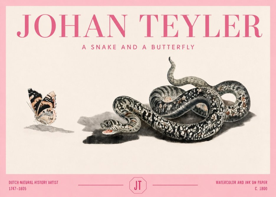 Johan Teyler Snake and Butterfly No4 - Affiche