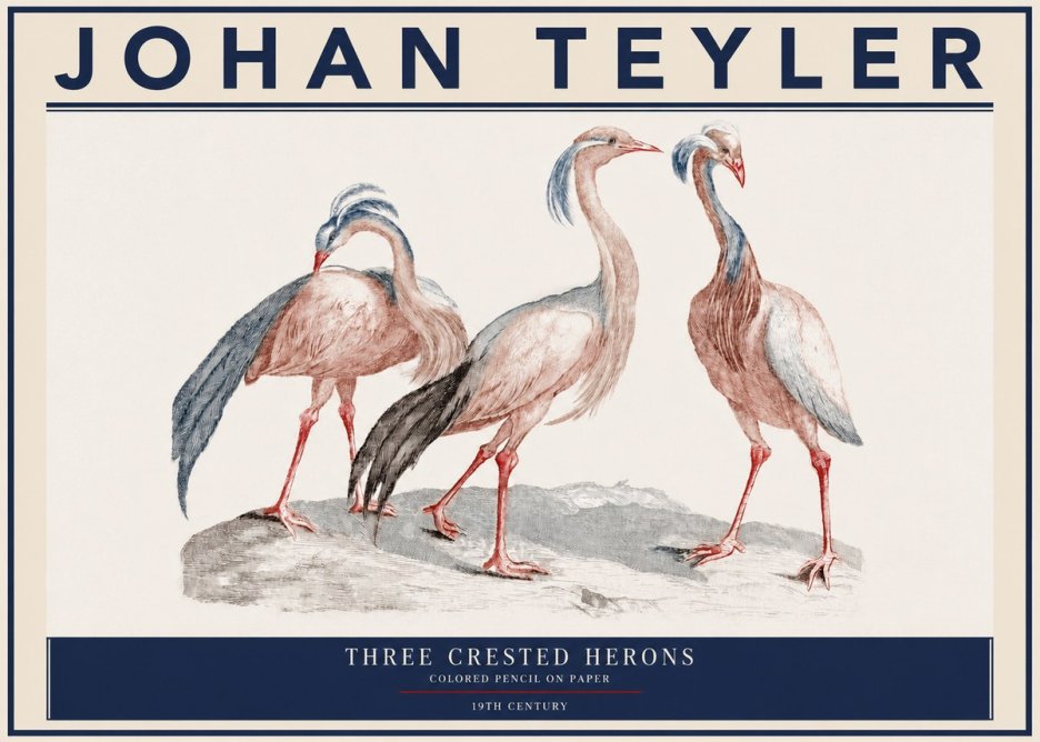 Johan Teyler Three Crested Herons No3 - Affiche