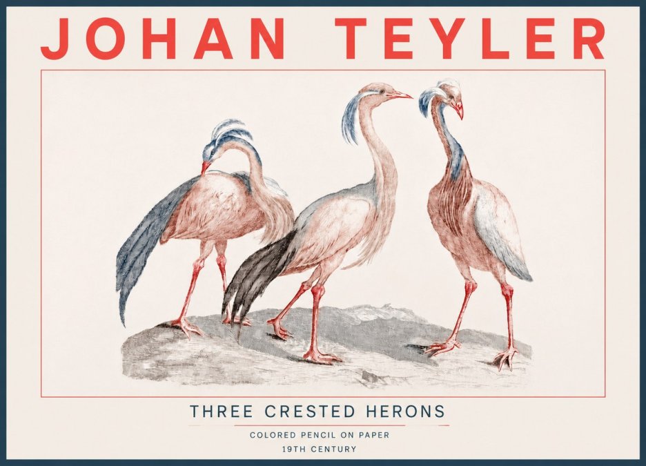 Johan Teyler Three Crested Herons No4 - Affiche