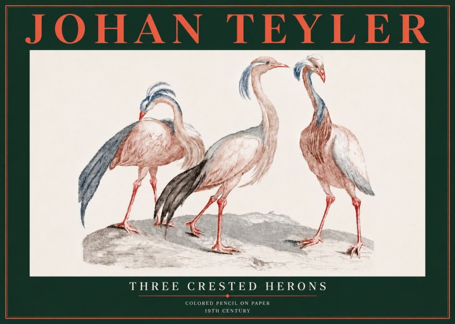 Johan Teyler Three Crested Herons No5 - Affiche
