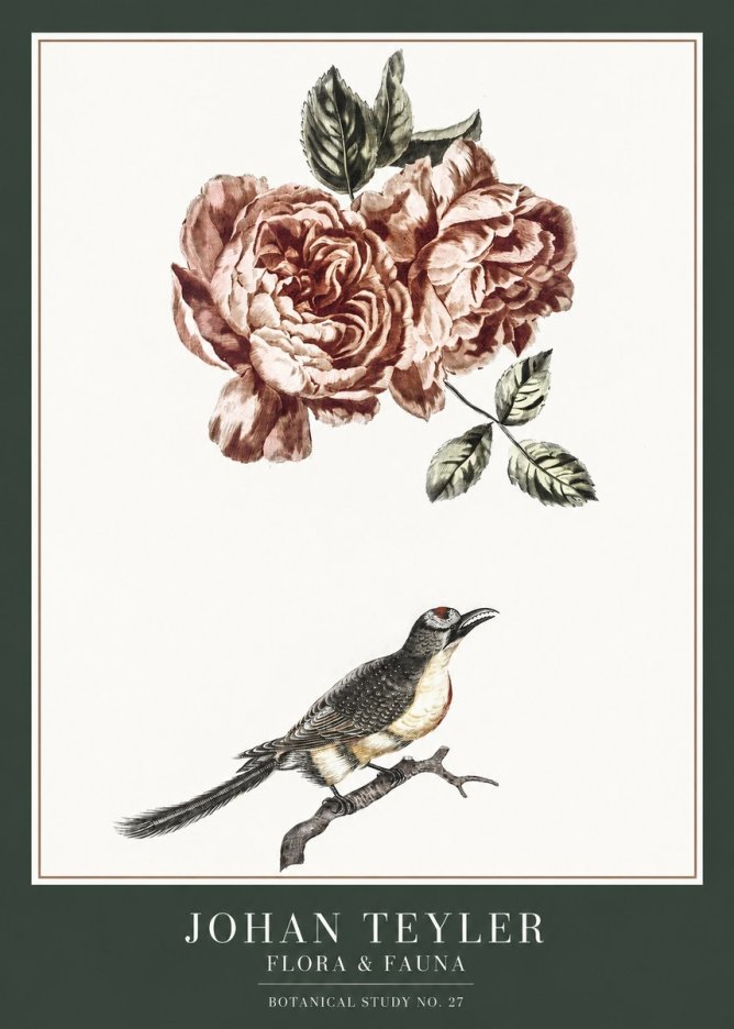 Johan Teyler Rose and Bird II No6 - Affiche