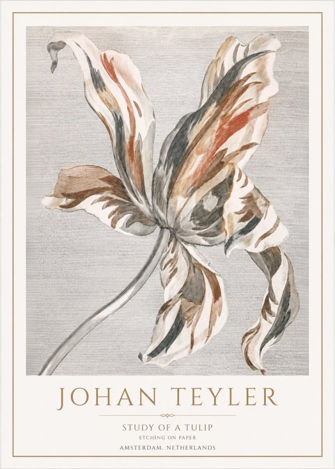 Johan Teyler Study of a Tulip No1 - Affiche