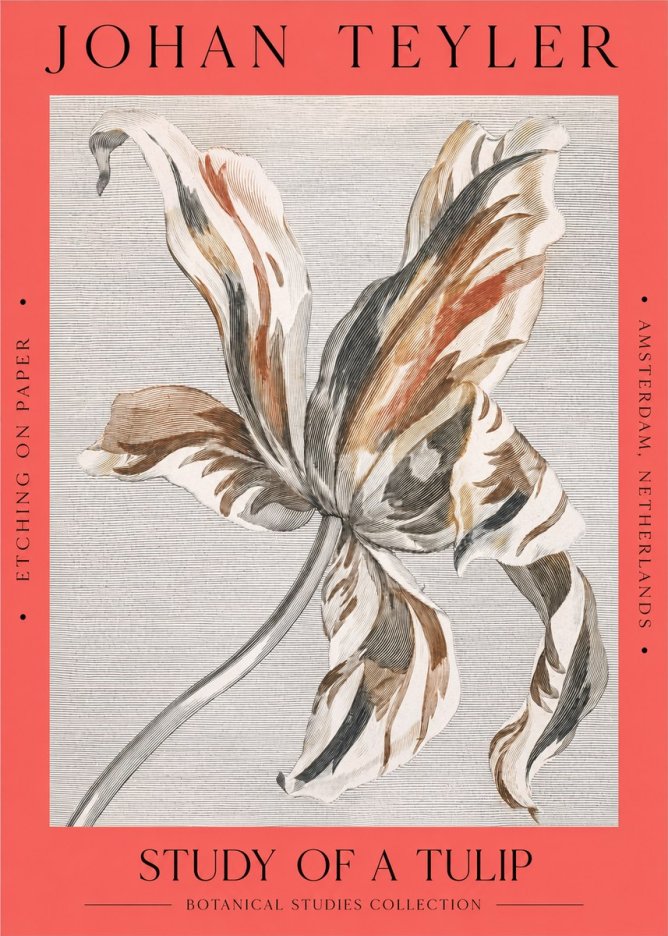 Johan Teyler Study of a Tulip No2 - Affiche