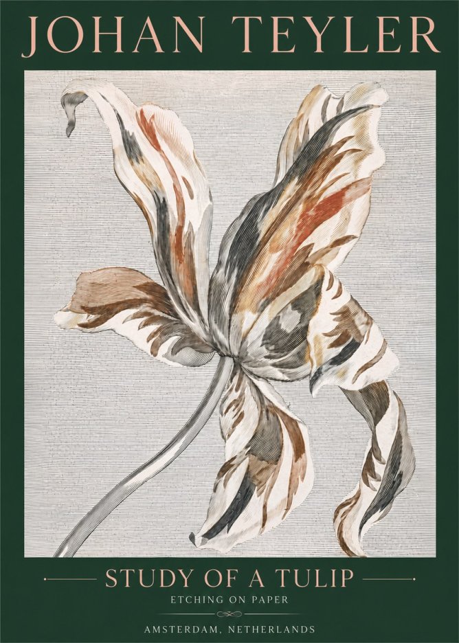 Johan Teyler Study of a Tulip No4 - Affiche