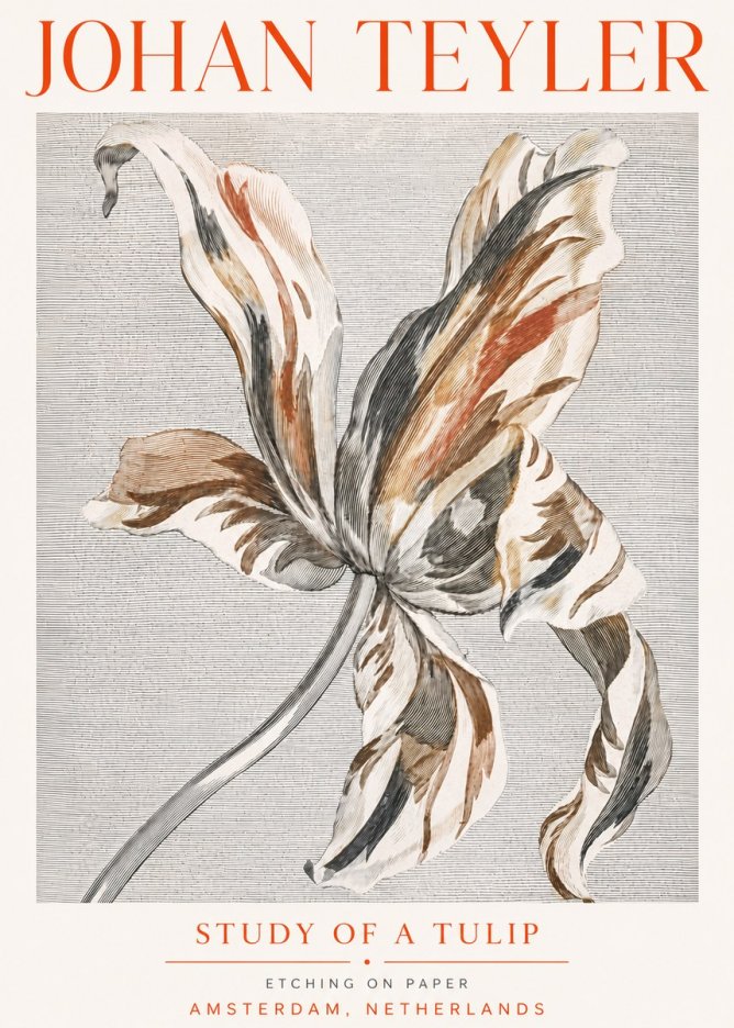 Johan Teyler Study of a Tulip No5 - Affiche