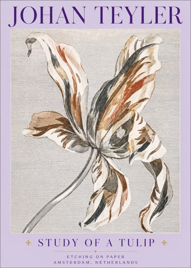 Johan Teyler Study of a Tulip No6 - Affiche