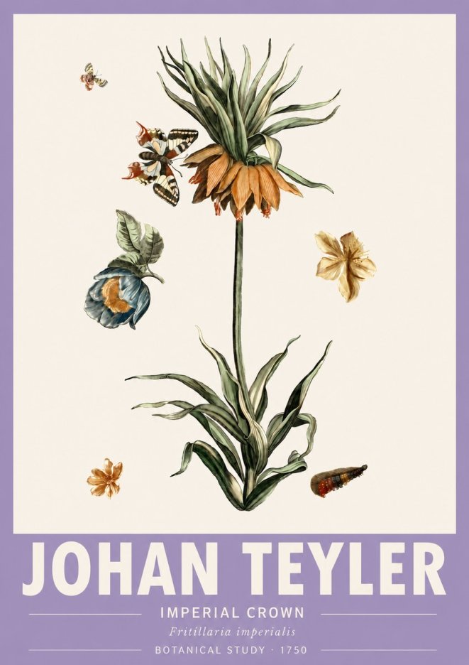 Johan Teyler Crown Imperial No6 - Affiche