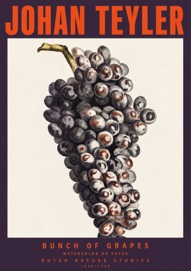 Johan Teyler Bunch of Grapes No2 - Affiche