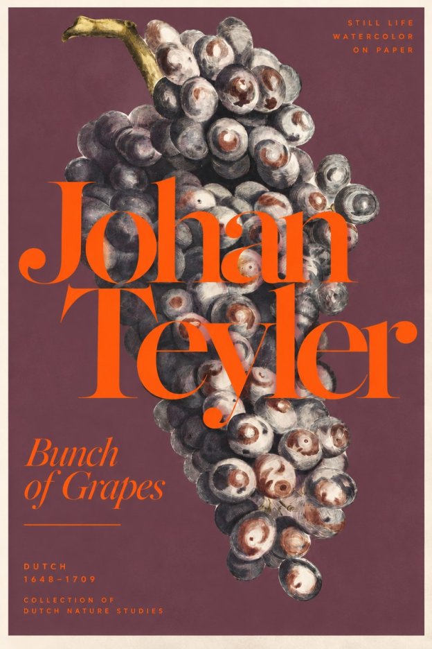 Johan Teyler Bunch of Grapes No3 - Affiche