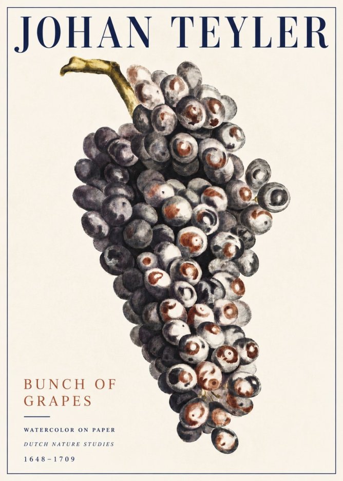 Johan Teyler Bunch of Grapes No5 - Affiche