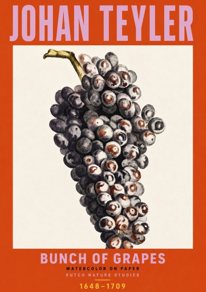 Johan Teyler Bunch of Grapes No6 - Affiche