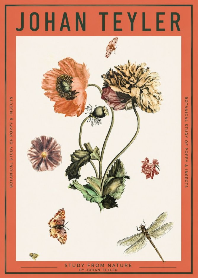 Johan Teyler Botanical Study of Poppy & Insects No2 - Affiche