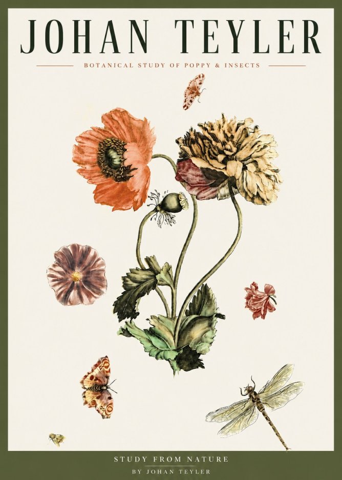 Johan Teyler Botanical Study of Poppy & Insects No3 - Affiche