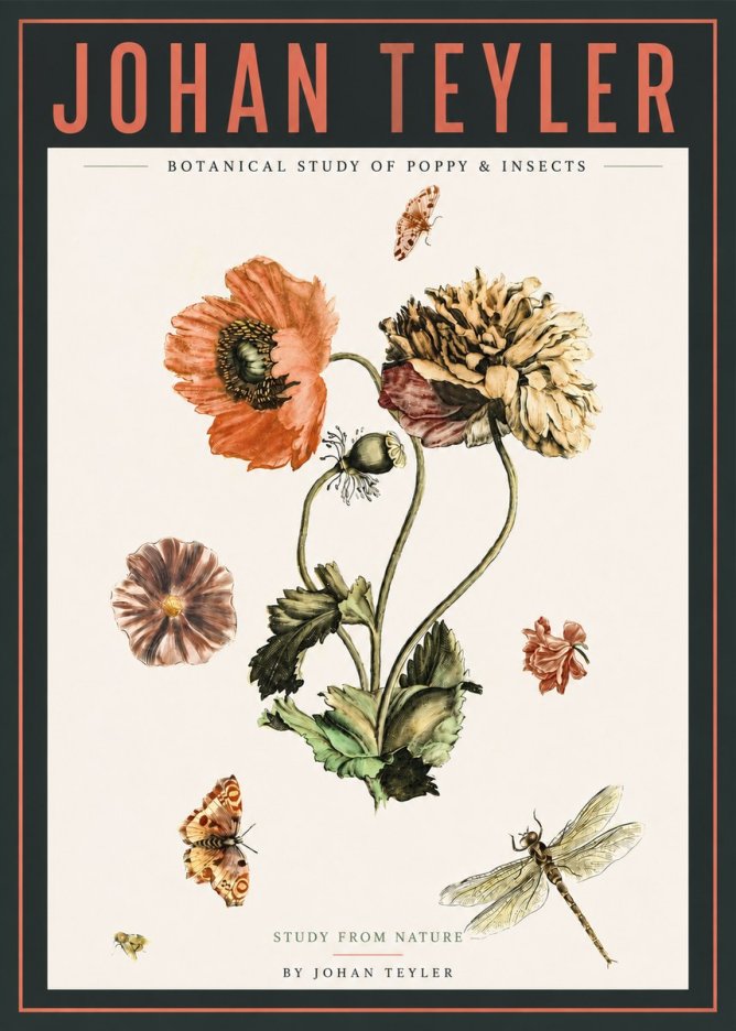 Johan Teyler Botanical Study of Poppy & Insects No4 - Affiche